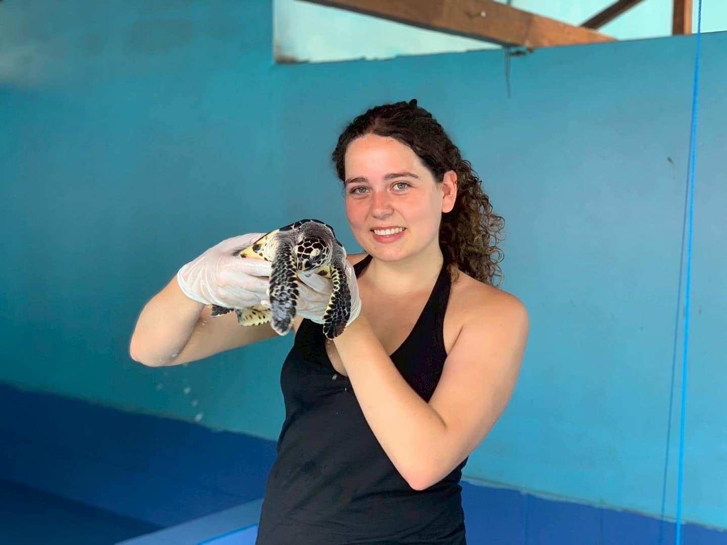 Volunteer abroad programs Bali turtle conservation program Ultimate Travel