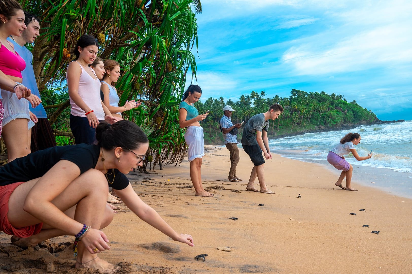 Sea turtle hatchling release on the Sri Lanka volunteer program