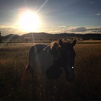 Regional NSW has some great sunsets