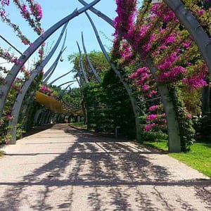 ultimatetravelblog