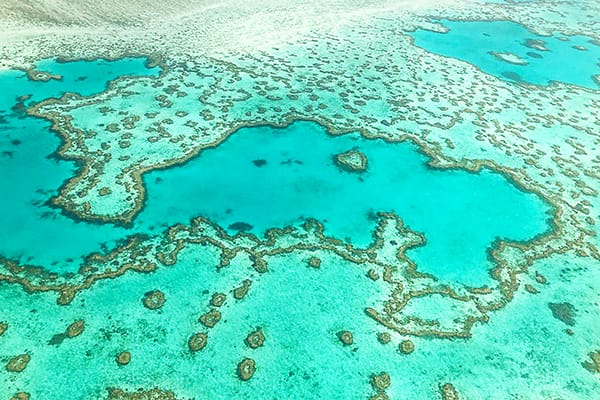 The ULTIMATE Sydney to Cairns Adventure Tour