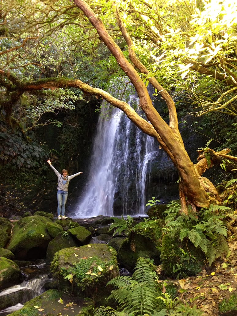 New Zealand waterfall Guide to your New Zealand Road Trip