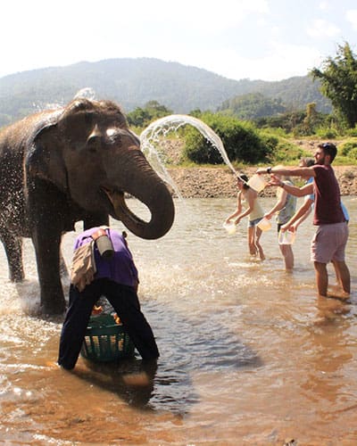 Chiang-Mai-Mobile