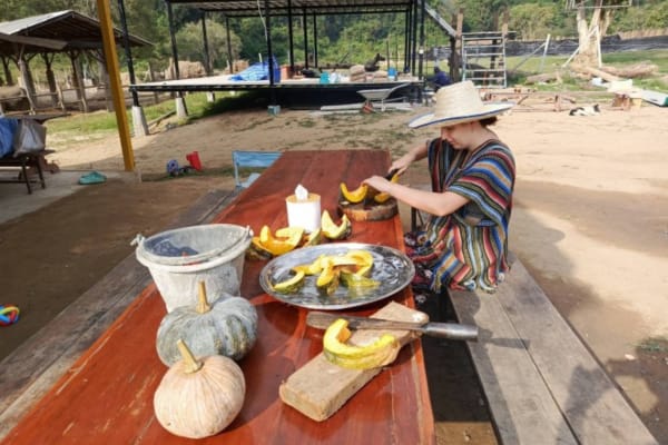 Chang Mai Elephant volunteering program Ultimate Travel
