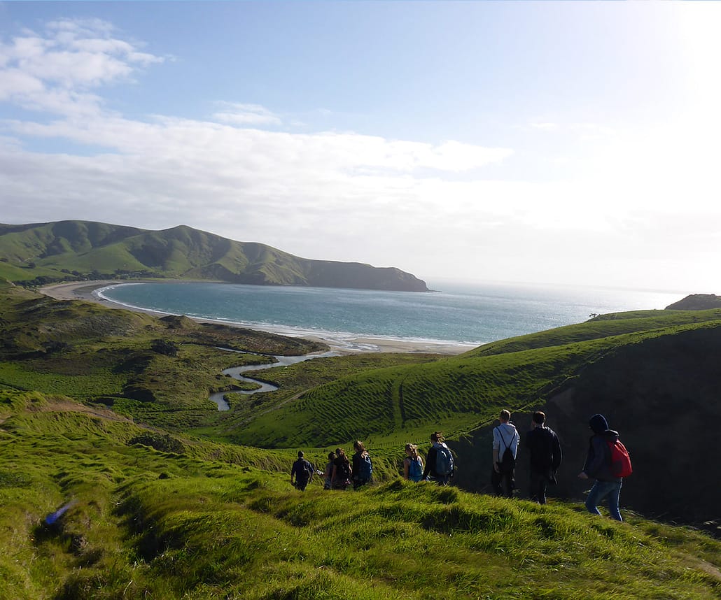NZ Gap Year - Media Grid Coromandel