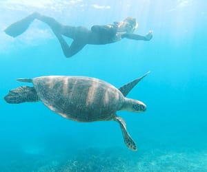 cruise package cruising