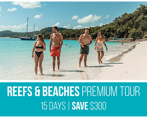 Reefs and Beaches Deal